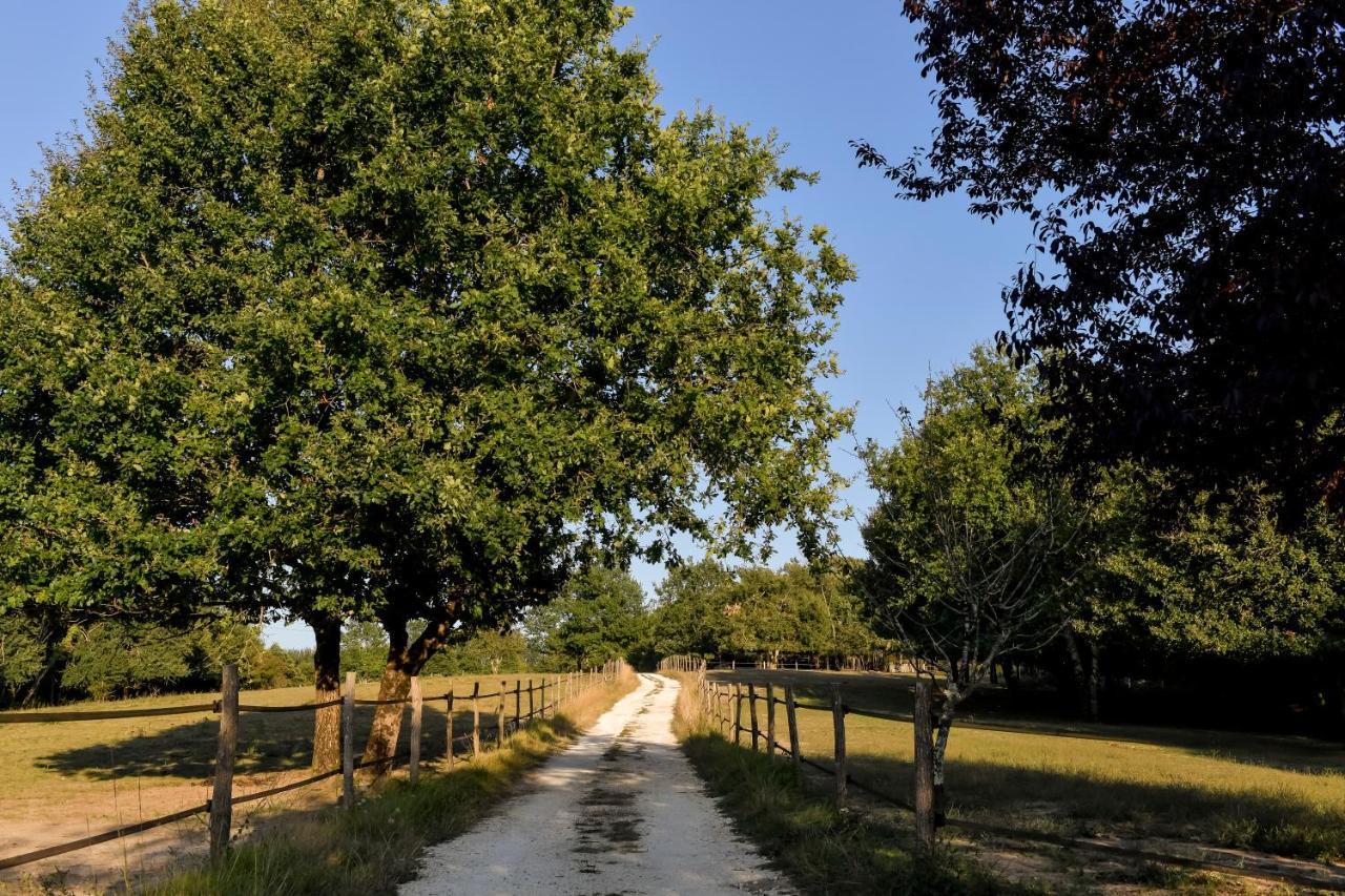 Domaine Verte Vallee Lignan-de-Bordeaux Eksteriør billede